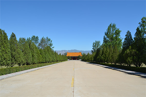 园区道路