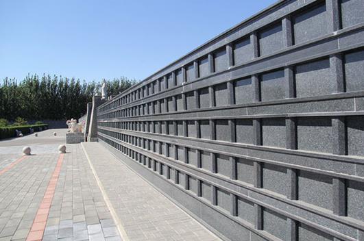 给老人买墓地选双号还是单号？