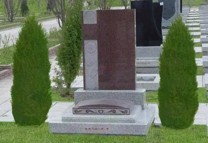一般墓地种多少棵柏树对后人好