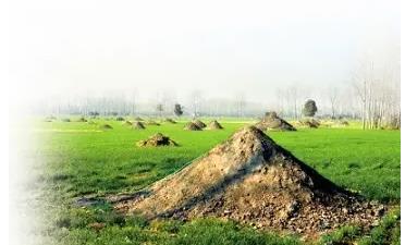 迁坟的3大禁忌要知道，迁坟需要注意什么