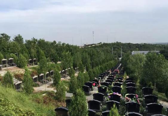 玉叶陵园墓地是市级墓地吗？