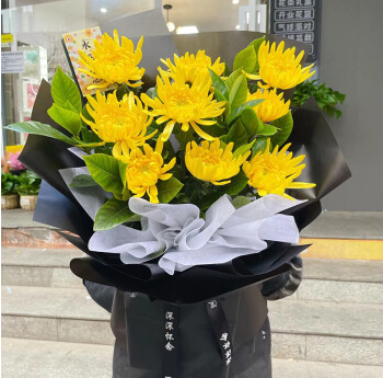 扫墓9朵菊花代表什么