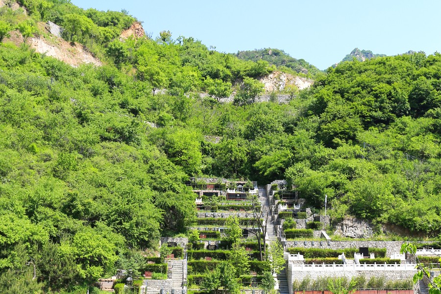 九公山长城纪念林树葬与草坪葬全方位解读及选购指导