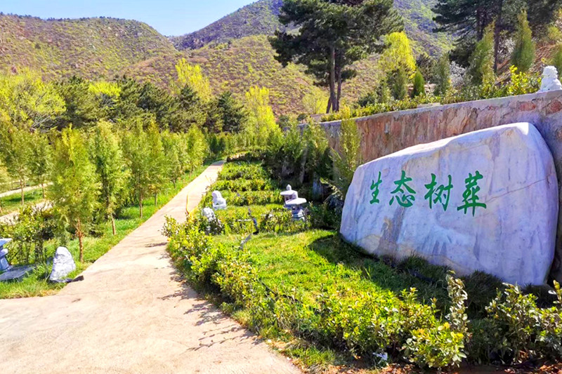 延庆树葬公墓有哪些？延庆树葬价格多少钱