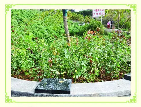 九公山长城纪念林有态葬吗，生态葬都有哪些？