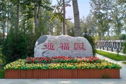 通福园公墓有树葬吗