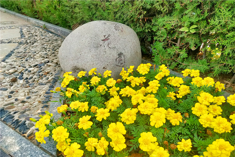 北京房山区生态葬墓地有哪些？价格多少钱