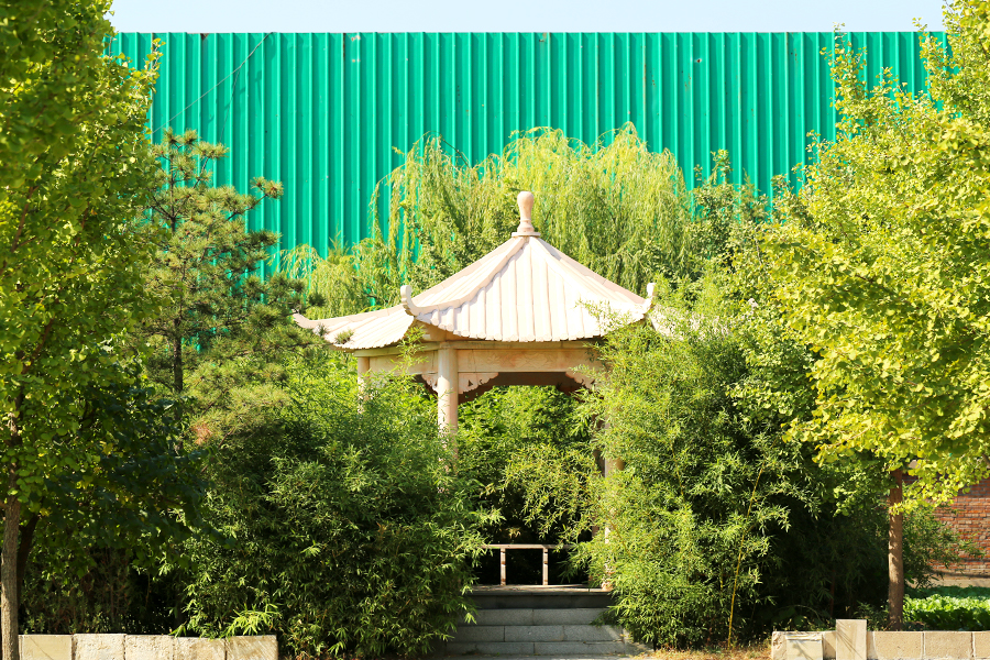 北京市朝阳区陵园有哪些生态葬在售？价格是多少钱